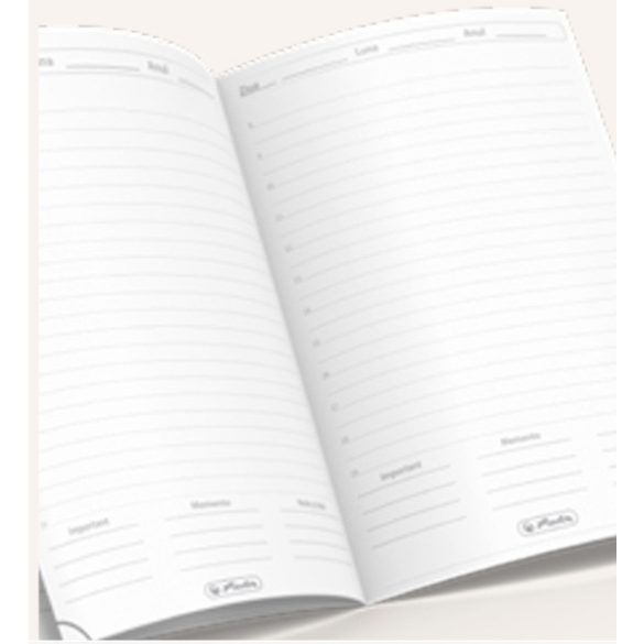 ANED_STANDARD_HERLITZ_NEGRU-Agenda-Standard-nedatata-15-x-21-NEGRU