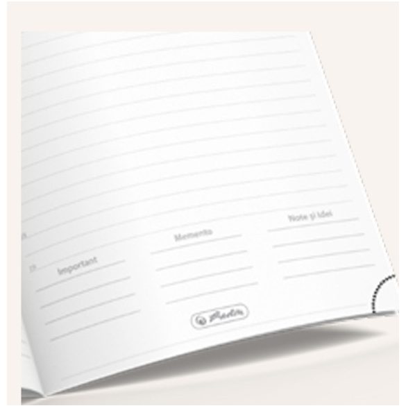 ANED_STANDARD_HERLITZ_NEGRU-Agenda-Standard-nedatata-15-x-21-NEGRU