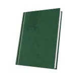 ANED_STANDARD_HERLITZ_VERDE-Agenda-Standard-nedatata-15-x-21-VERDE