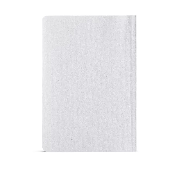 ANT002-116-Notes-Verne