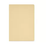 ANT003-111-Notes-Cervantes
