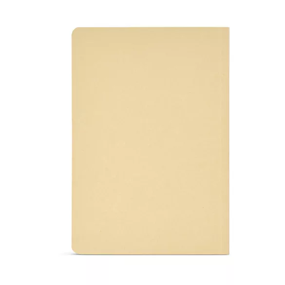 ANT003-111-Notes-Cervantes