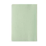 ANT006-119-Notes-Dostoevsky