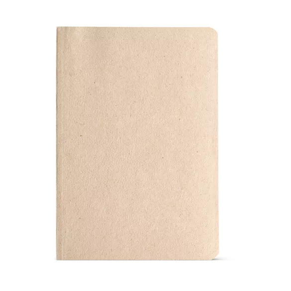 ANT007-167-Notes-Joyce