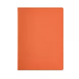 ANT020-128-Notes-A4-Bronte