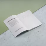 ANT024-111-Notes-Fitzgerald