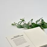 ANT030-106-Notes-Hugo
