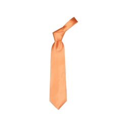 ap1222-03-cravata