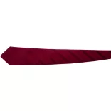 AP1233-08-Cravata-Stripes