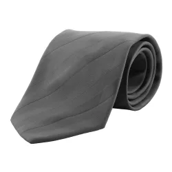 AP1233-80-Cravata-Stripes