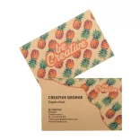 AP716762-Carte-de-vizita-Visicard-Eco