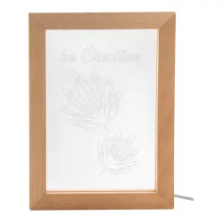 AP716910-Trofeu-cu-lumina-LED-Woodiframe