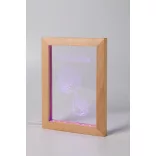 AP716910-Trofeu-cu-lumina-LED-Woodiframe