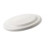 AP721474-frisbee-Ditul