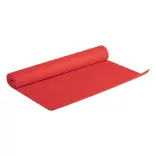 AP721604-05-Saltea-yoga-Nodal