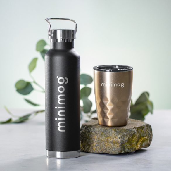 AP722017-77-Termos-650-ml-Staver-