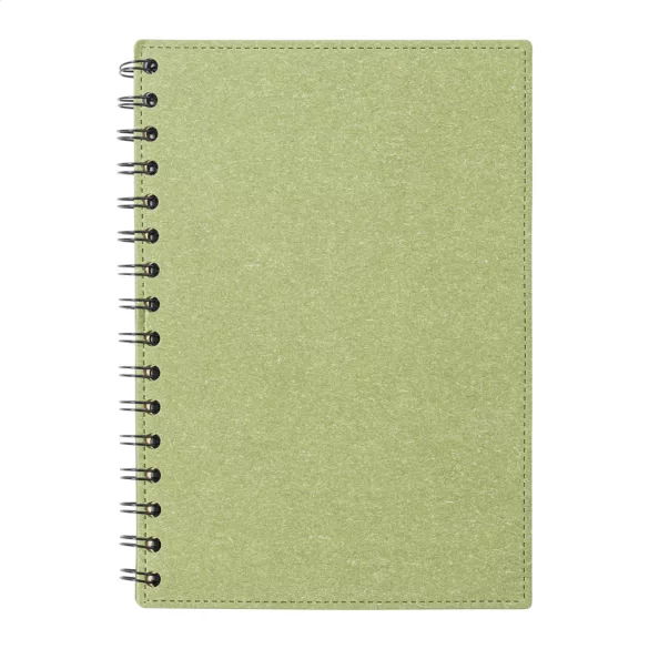 AP722176-07-Blocnotes-Idina