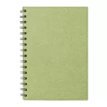 AP722176-07-Blocnotes-Idina
