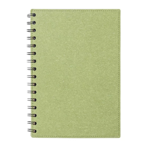 AP722176-07-Blocnotes-Idina