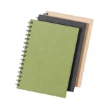 AP722176-07-Blocnotes-Idina