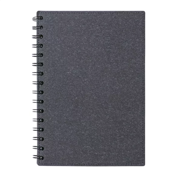 AP722176-10-Blocnotes-Idina