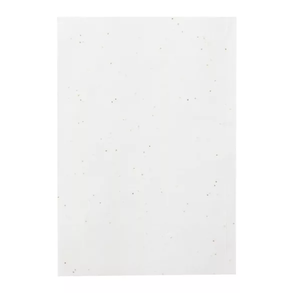 AP731947-01-Notes-cu-hartie-din-seminte-Maiwen