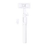 AP733368-01-Trepied-seflie-Influp