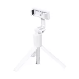AP733368-01-Trepied-seflie-Influp