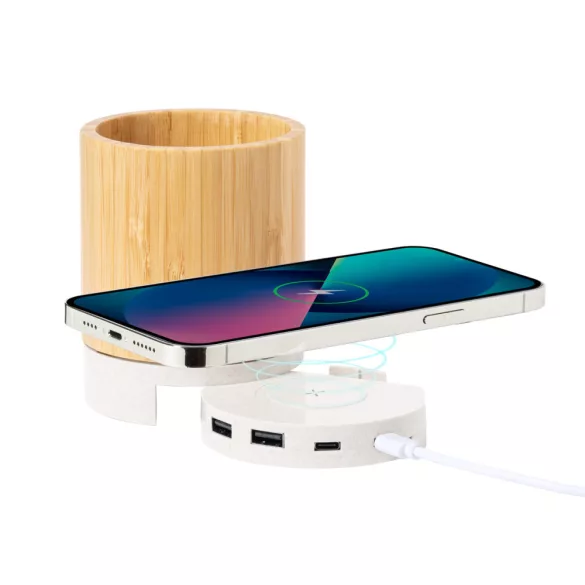 AP733390-Suport-multifunctional-pentru-pixuri-Birwen