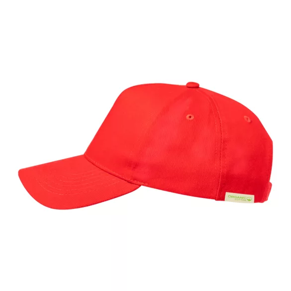AP733932-05-sapca-de-baseball-Gibson