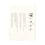 AP734047-01-Bloc-de-note-adezive-din-hartie-de-seminte-Semilla