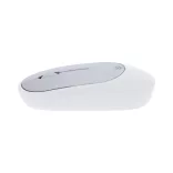 AP735511-21-Mouse-optic-Doryt-RCS