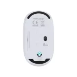 AP735511-21-Mouse-optic-Doryt-RCS
