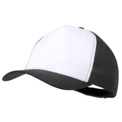 ap741427-10-sapca-baseball-sodel