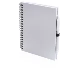 ap741501-01-blocnotes-koguel
