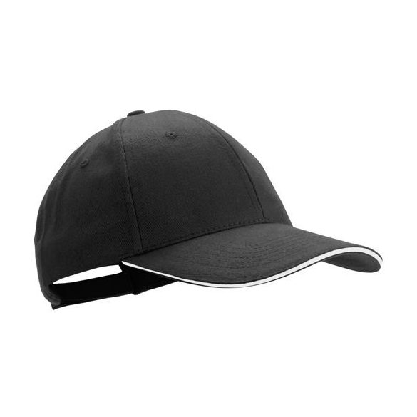ap741668-10-sapca-baseball-rubec