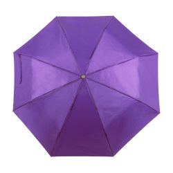 AP741691-13-umbrela-ziant