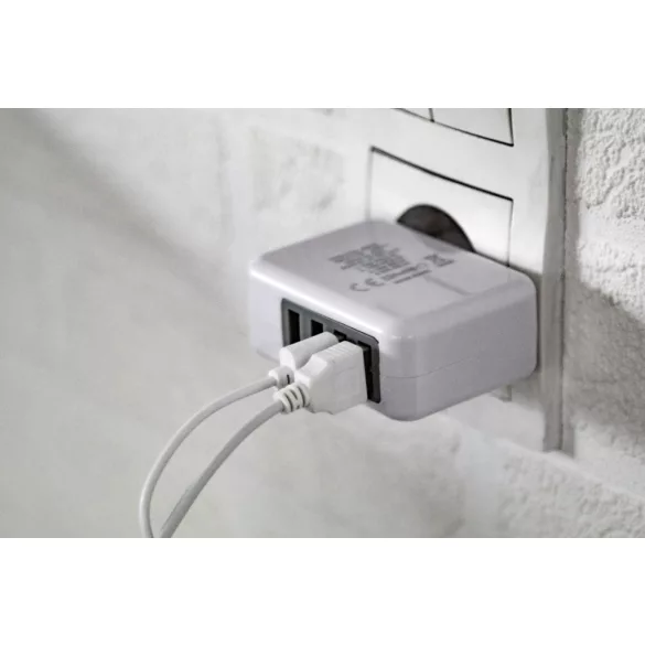 AP781162-01 - Incarcator de perete USB - BOVIN
