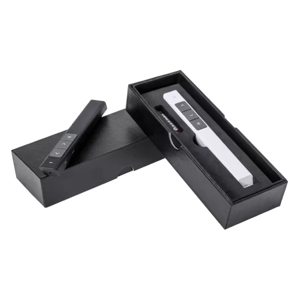 AP781169-01-Laser-pointer-Haslam