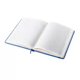 ap781195-06-carnetel-ciluxlin