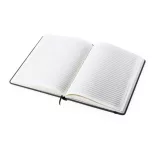 ap781195-10-carnetel-ciluxlin