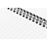 AP800194-06-Carnet-Strobus-A5