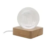AP800259-Glob-luminos-din-sticla-LumiGlobe