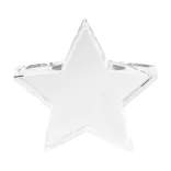 AP800260-Trofeu-stea-Crystar