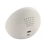 AP800527-01-Incarcator-wireless-cu-ceas-15-W-Rabolarm