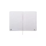 AP800741-01-Caiet-RPU-Repuk-Line-A5