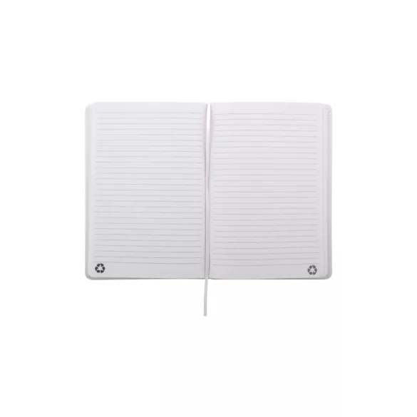 AP800741-01-Caiet-RPU-Repuk-Line-A5