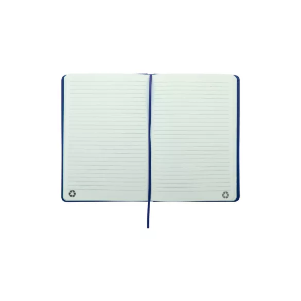 AP800741-06A-Caiet-RPU-Repuk-Line-A5
