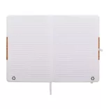 AP800780-01-Agenda-rpu-Corpux