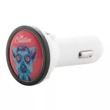 AP806975-10-Incarcator-usb-pentru-masina-BiPower